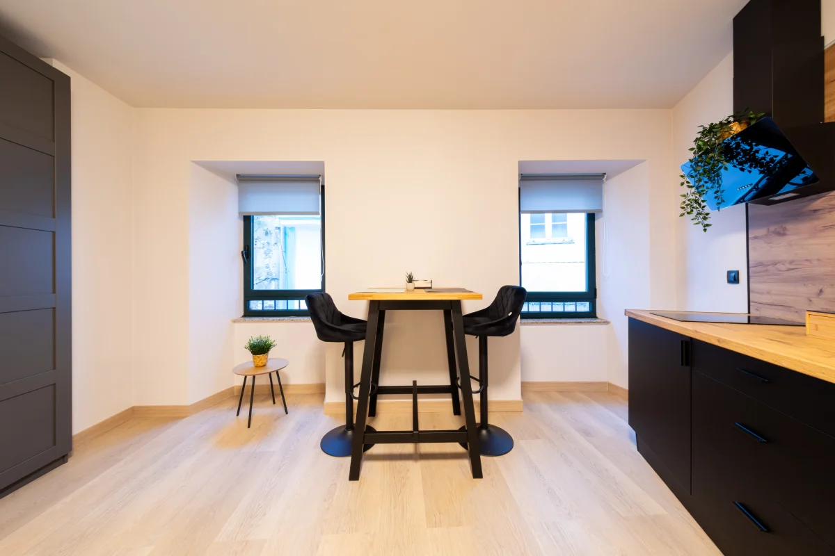 Loft 1.1 - Cocina americana equipada
