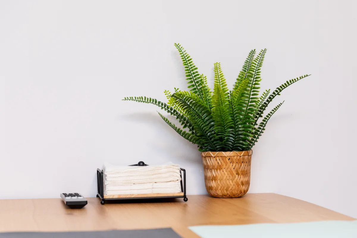 Decoración del apartamento